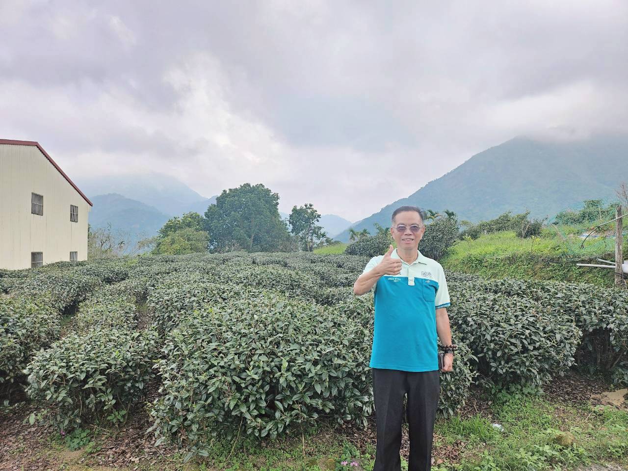 鹿谷鳳凰頂城段都計內海拔760M景觀農地台中買屋賣房土地王劉志忠