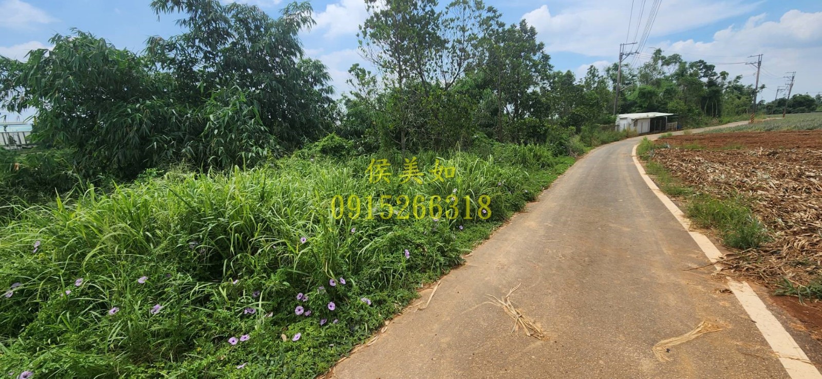 中正大學旁大面寬農地-台慶侯美如