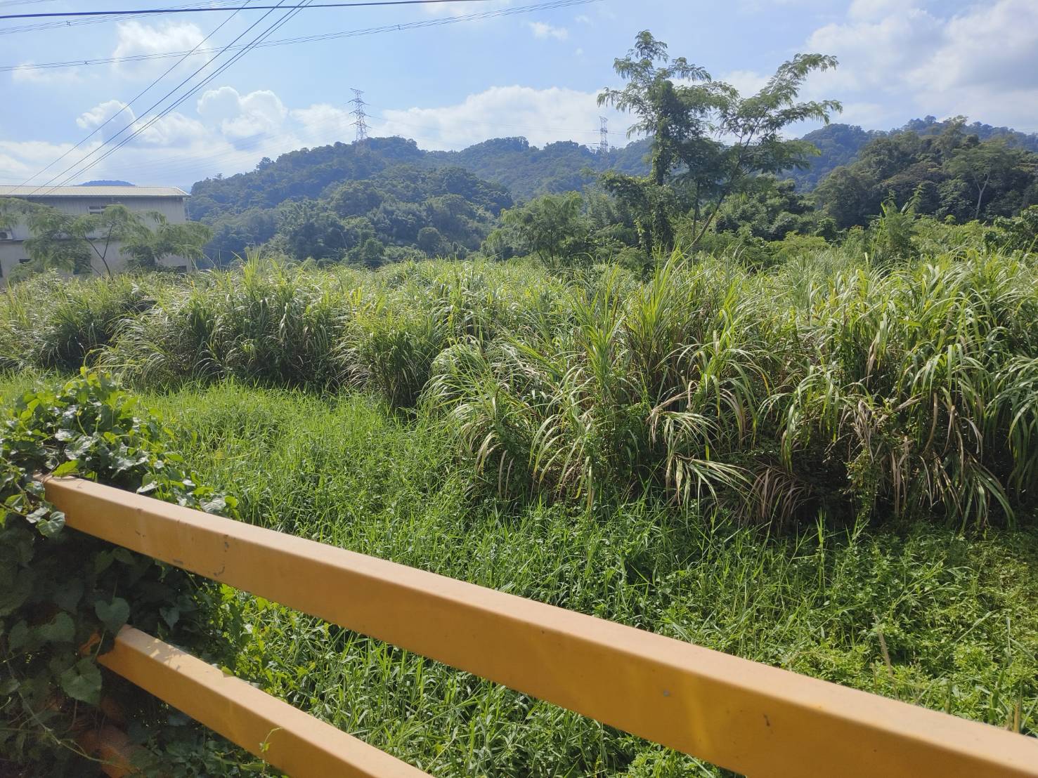 關西台三線平坦美農地