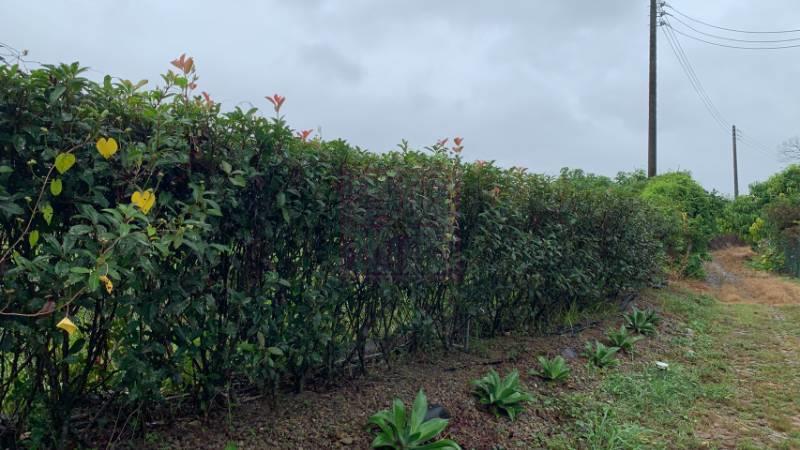 新竹縣芎林鄉下山方正農地 春明地產