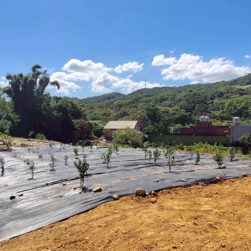 新竹縣湖口鄉再興高球場旁小坪數農地 春明地產