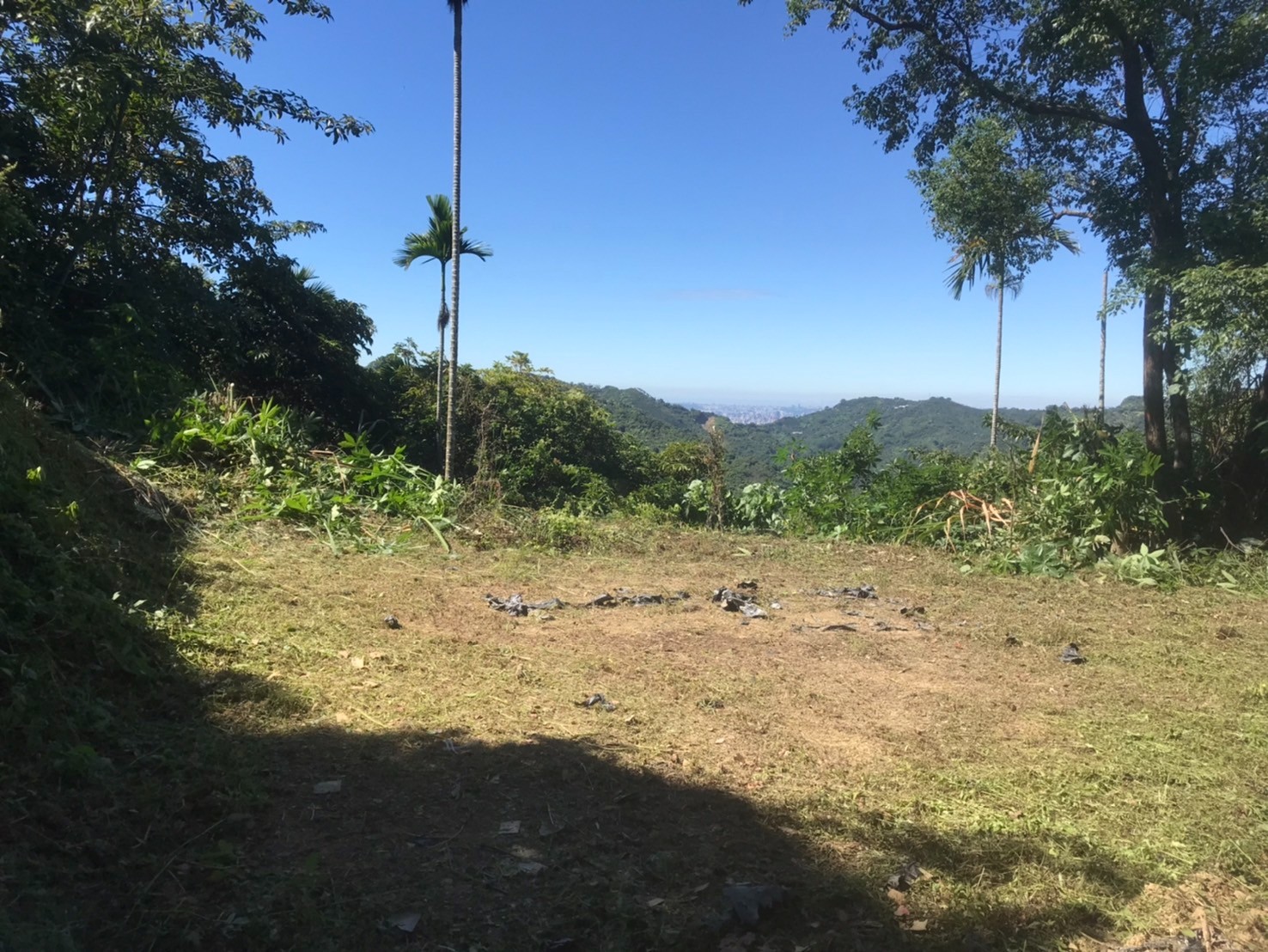 太平近市區便宜景觀俗農地