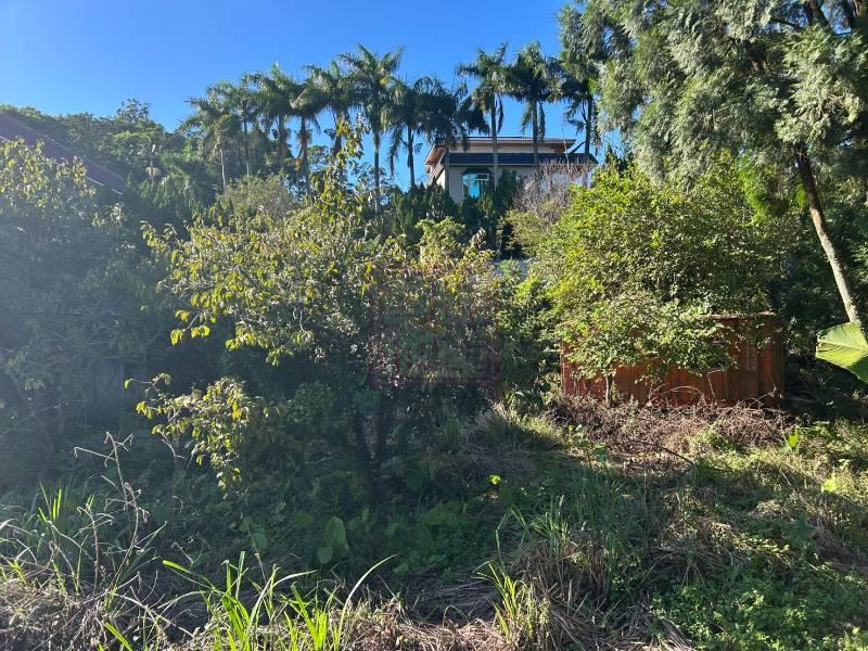 新竹縣北埔鄉大分林平坦農地 春明地產