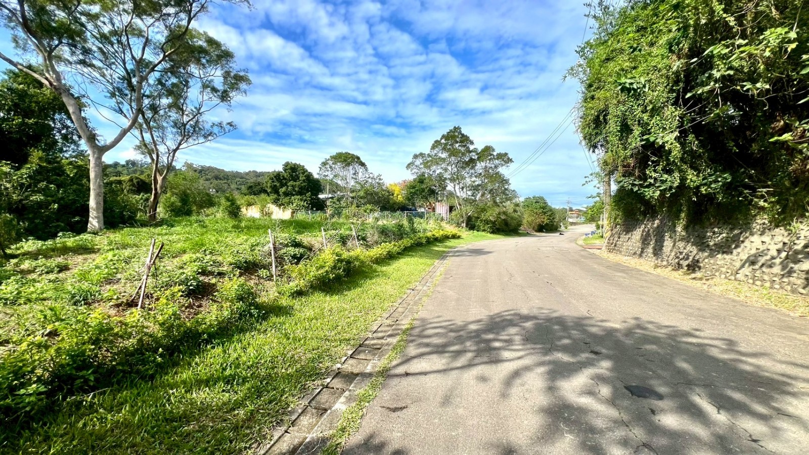 竹東柯子湖臨路平坦農地