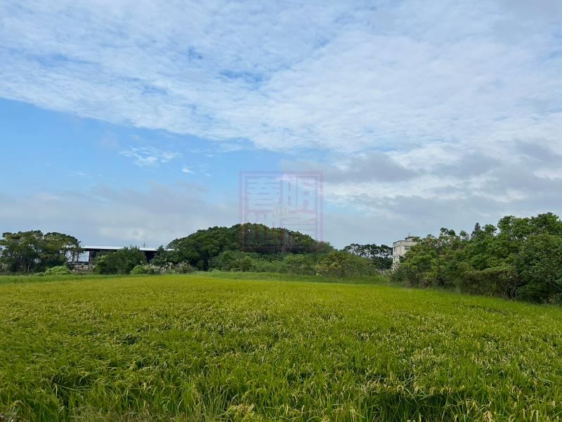 新竹縣湖口鄉和興國小農地 春明地產