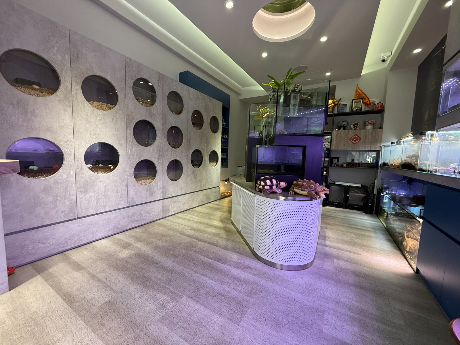 中路特區精美增值黃金店面