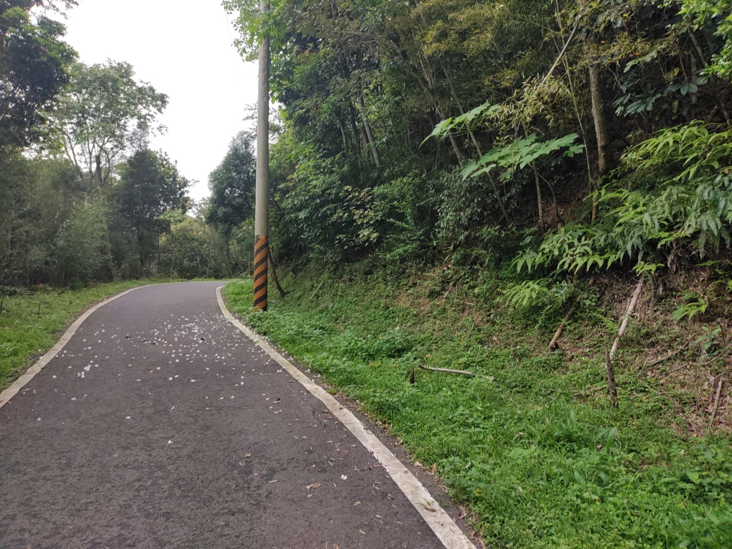 芎林王爺坑投資農地