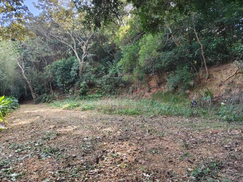 新竹縣關西鎮過雲山莊休閒農地 春明地產