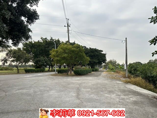 新化崙子頂2.2分有電農地