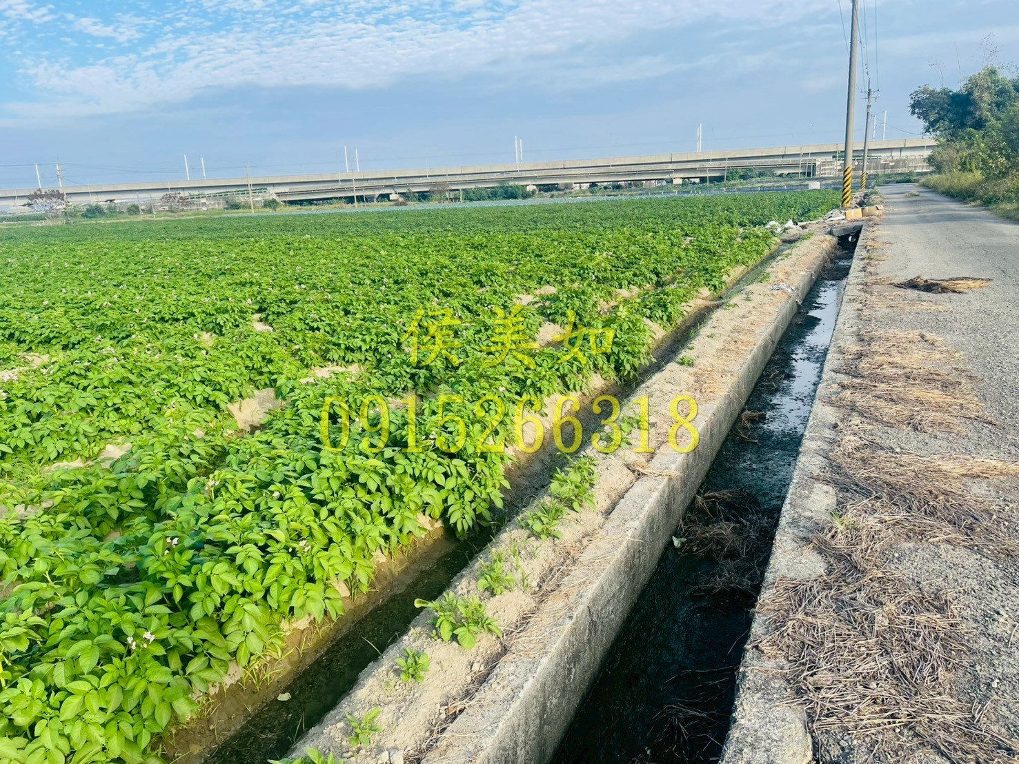 太保田尾雙面路農地-台慶侯美如