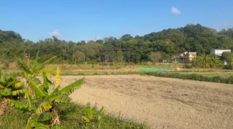 新竹縣橫山鄉田寮國小美農地 春明地產