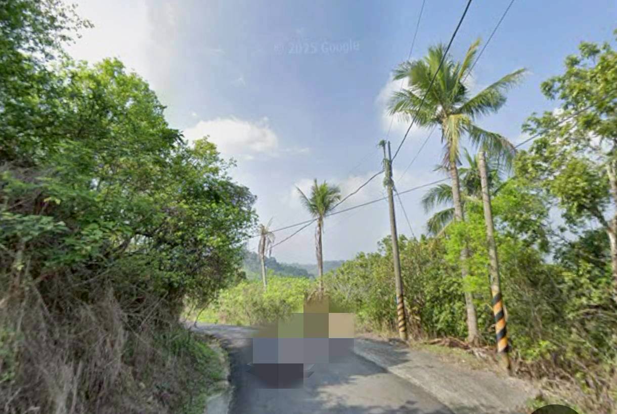 台南市玉井近玉仙宮5甲4分多路邊農地