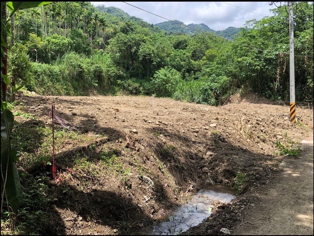 💖獨家💖水里單坪2.2萬最便宜甲建~有電