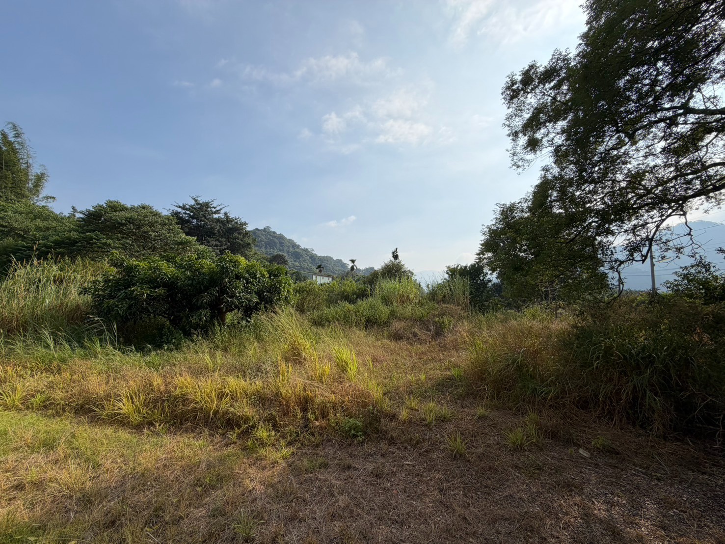 💖專任💖南投國姓開心農場方正平坦農地