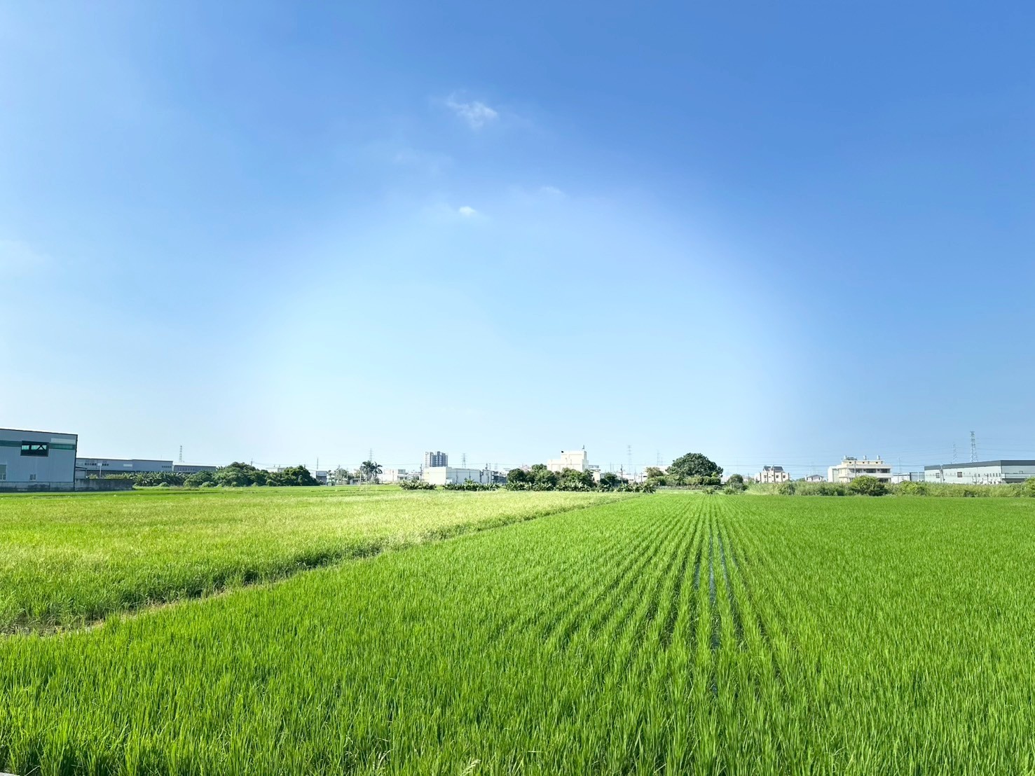 💖彰化交流道特定區💖全區最低價來問我~地主缺錢出價好談