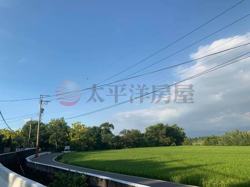 烏樹林合法農場｜多元經營｜內含合法農舍