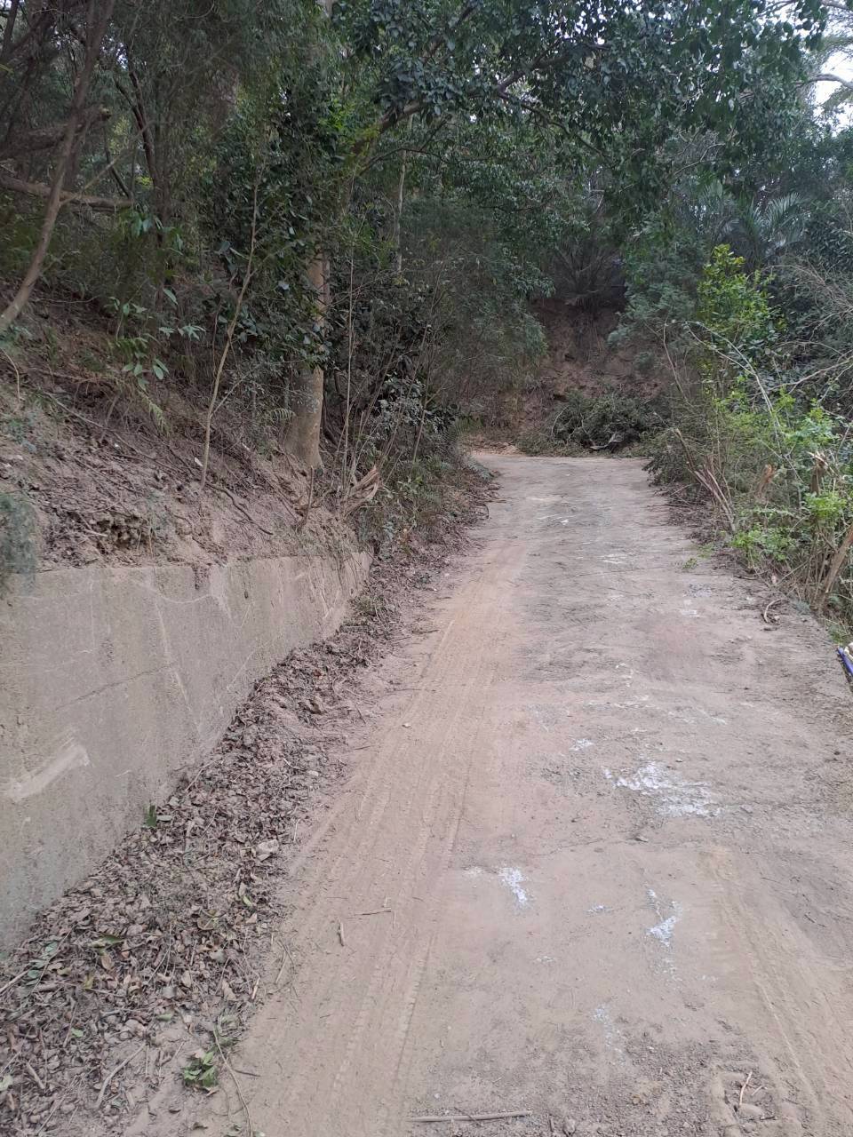 🌞苗栗/造橋🌞休閒農地