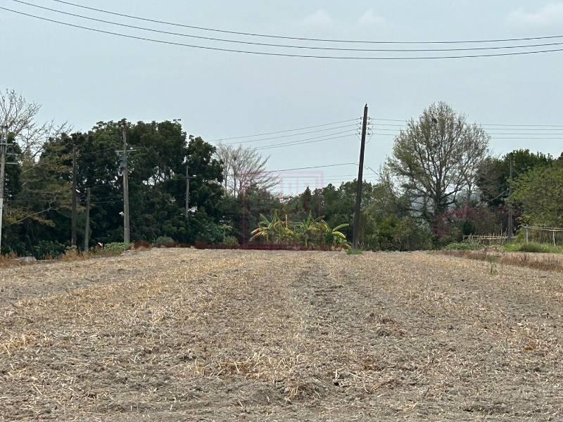 新竹縣芎林鄉下山竹22鄉道美農地 春明地產