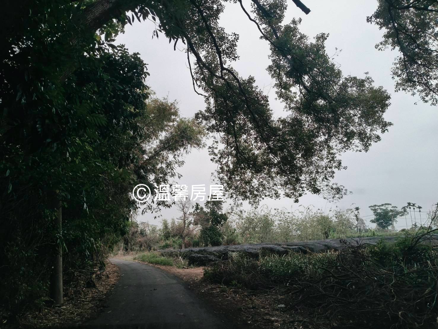 嘉義林森東路尾 都市計畫農地