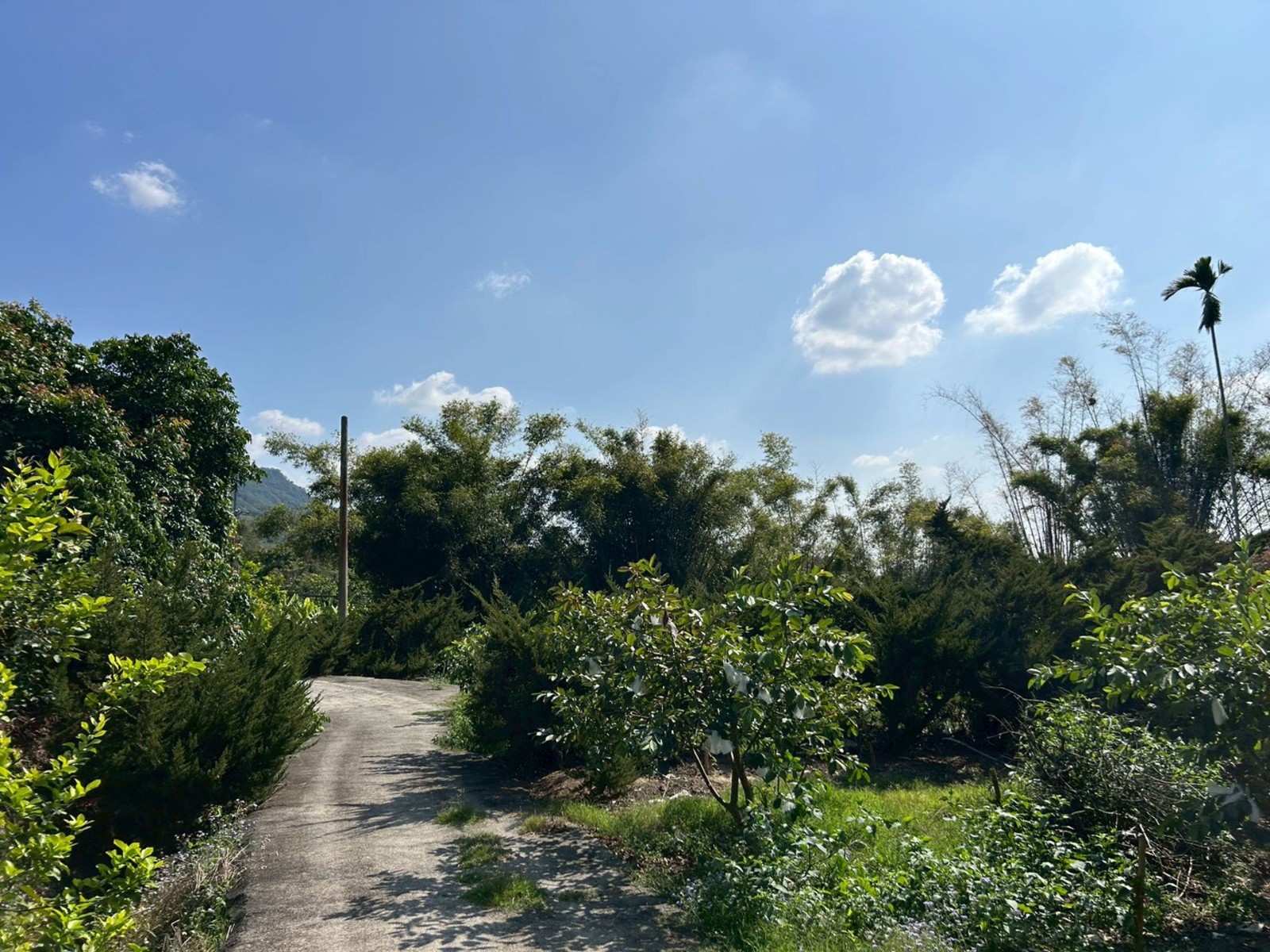 南化菁埔寮近台三線遊客中心7分全平坦農樂園