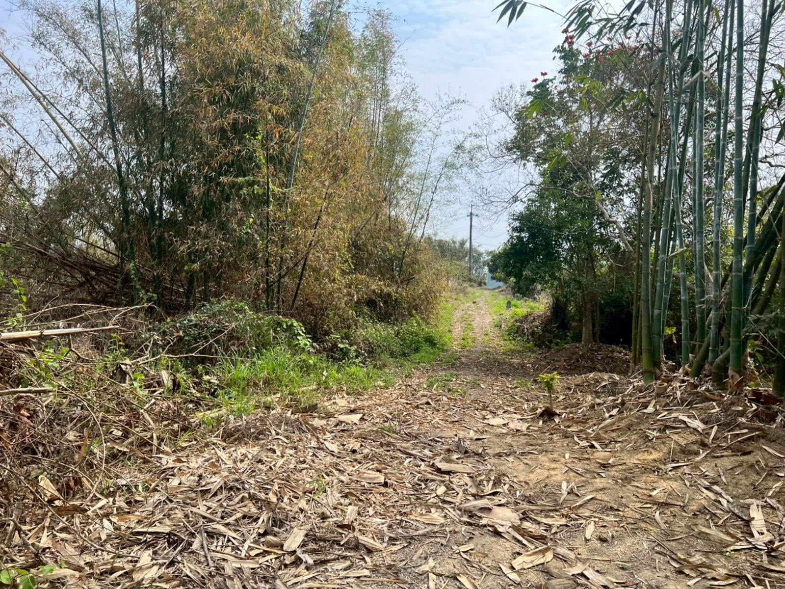 新化近南173鄉道礁坑子段3分9農牧用地 台南買屋專家