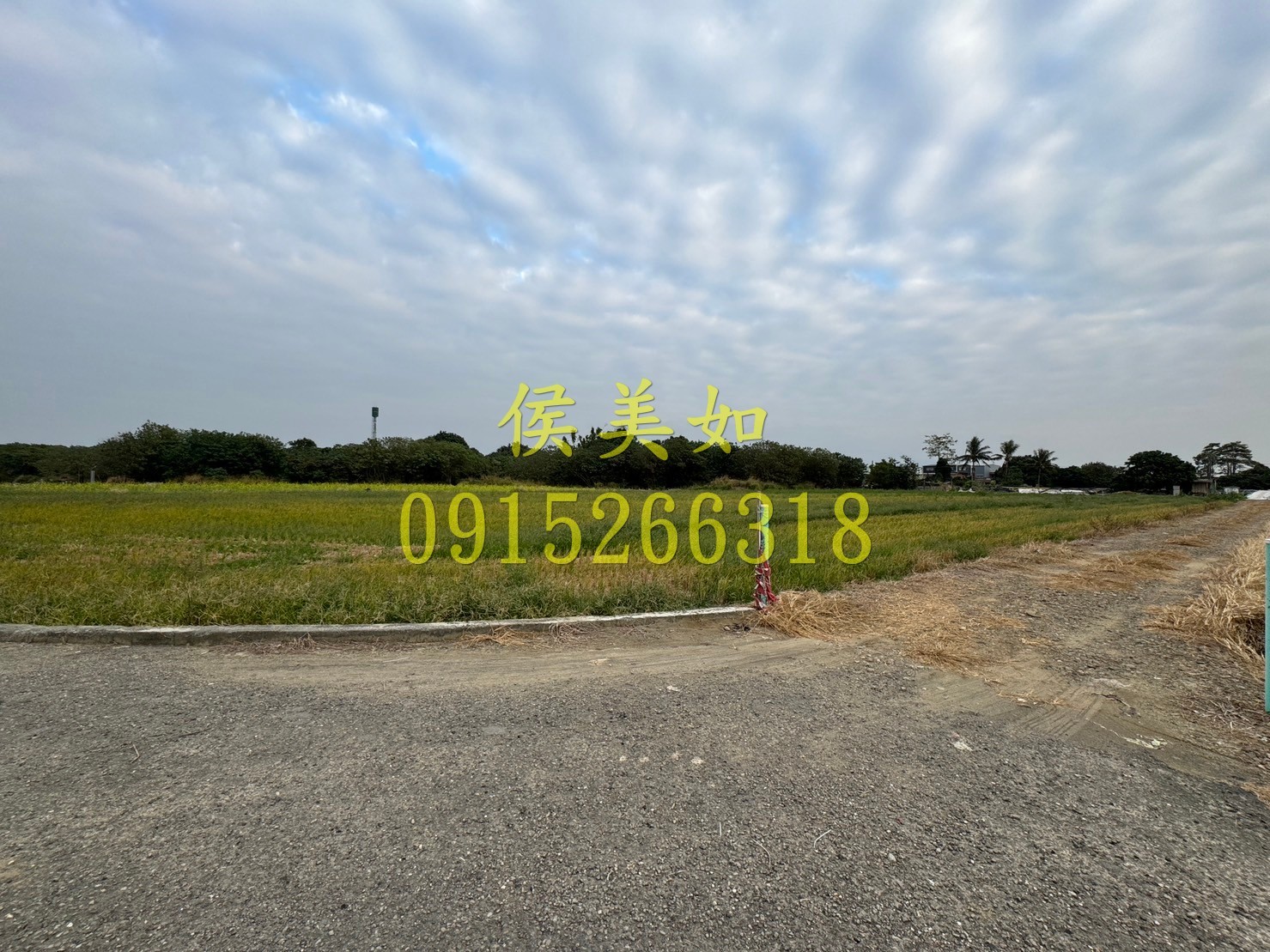 水上國中旁大面寬農地-台慶侯美如