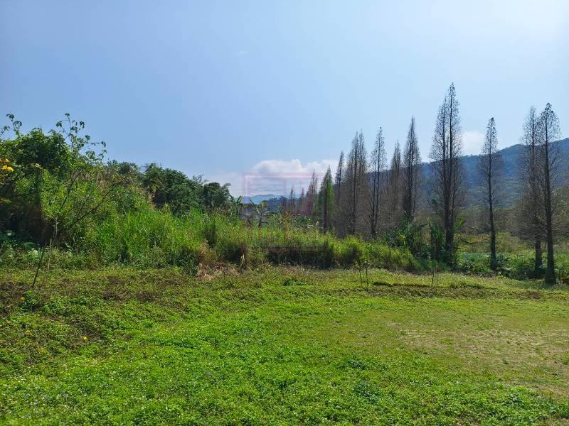 新竹縣橫山鄉橫山街落羽松美農地 春明地產
