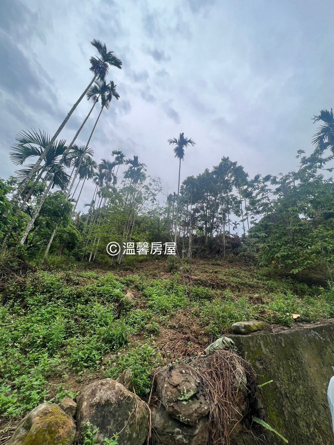 【竹崎優質農地｜低總價大坪數・投資自用首選】