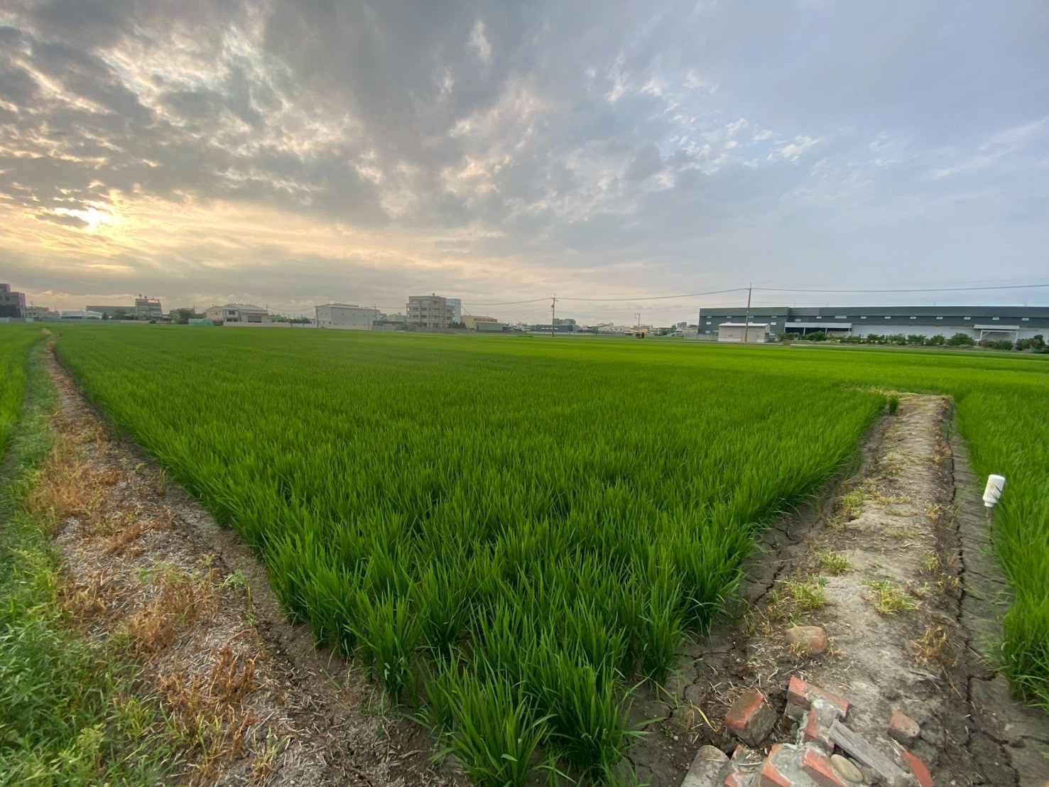 破2萬#比實登低#線東路美田#近國3