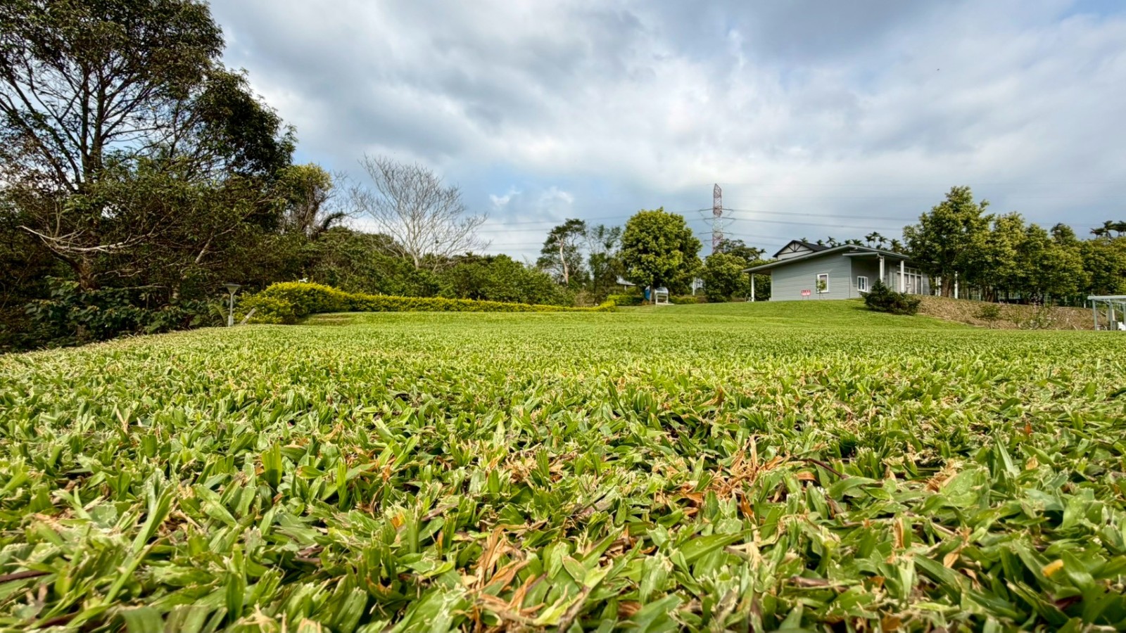 關西天闊莊園黃金角地