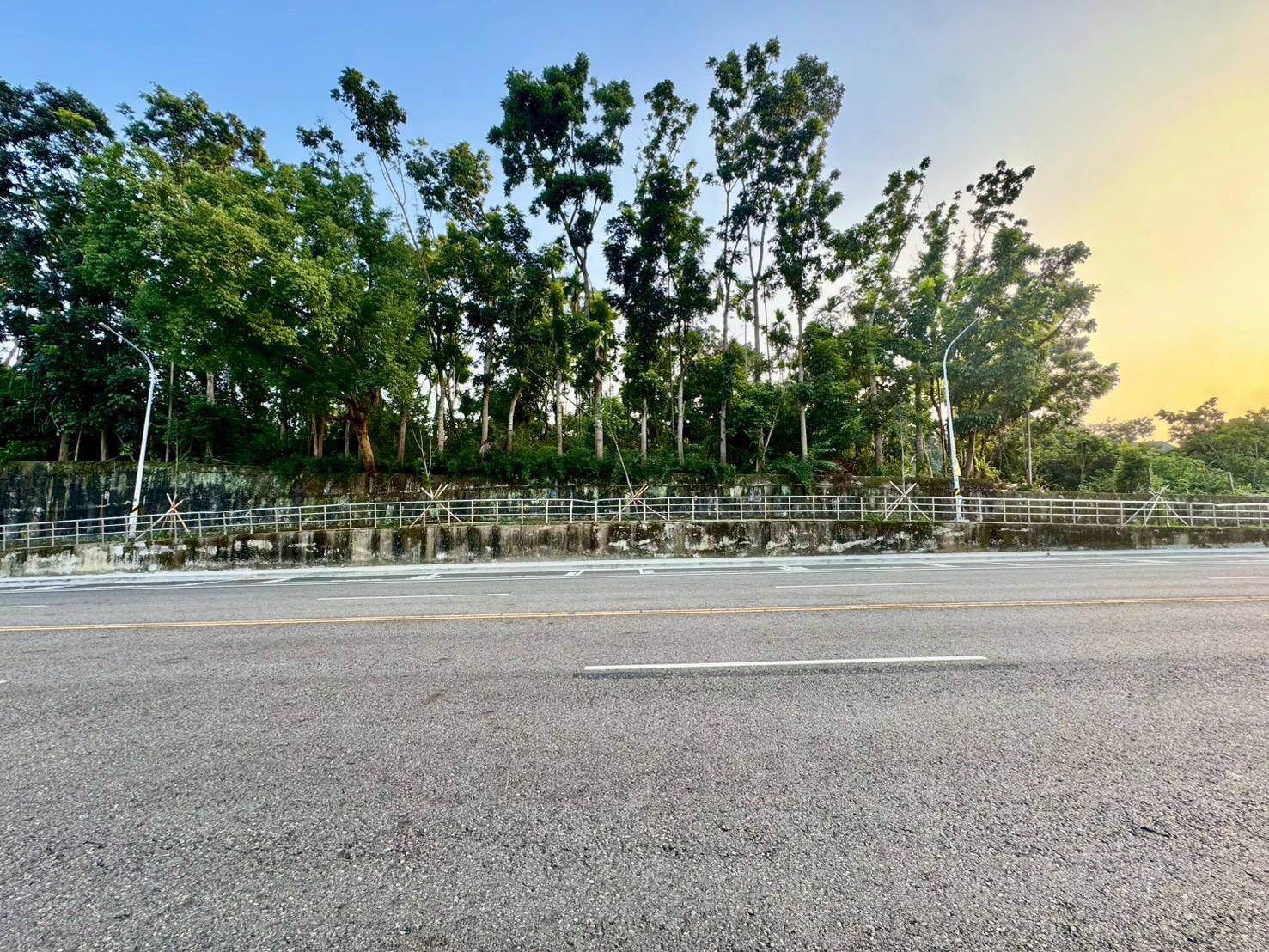 【大雅路｜正路邊X大面寬X雙面臨路｜農地】