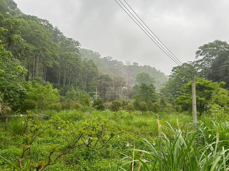 新竹縣北埔鄉大南坑小坪數農地 春明地產