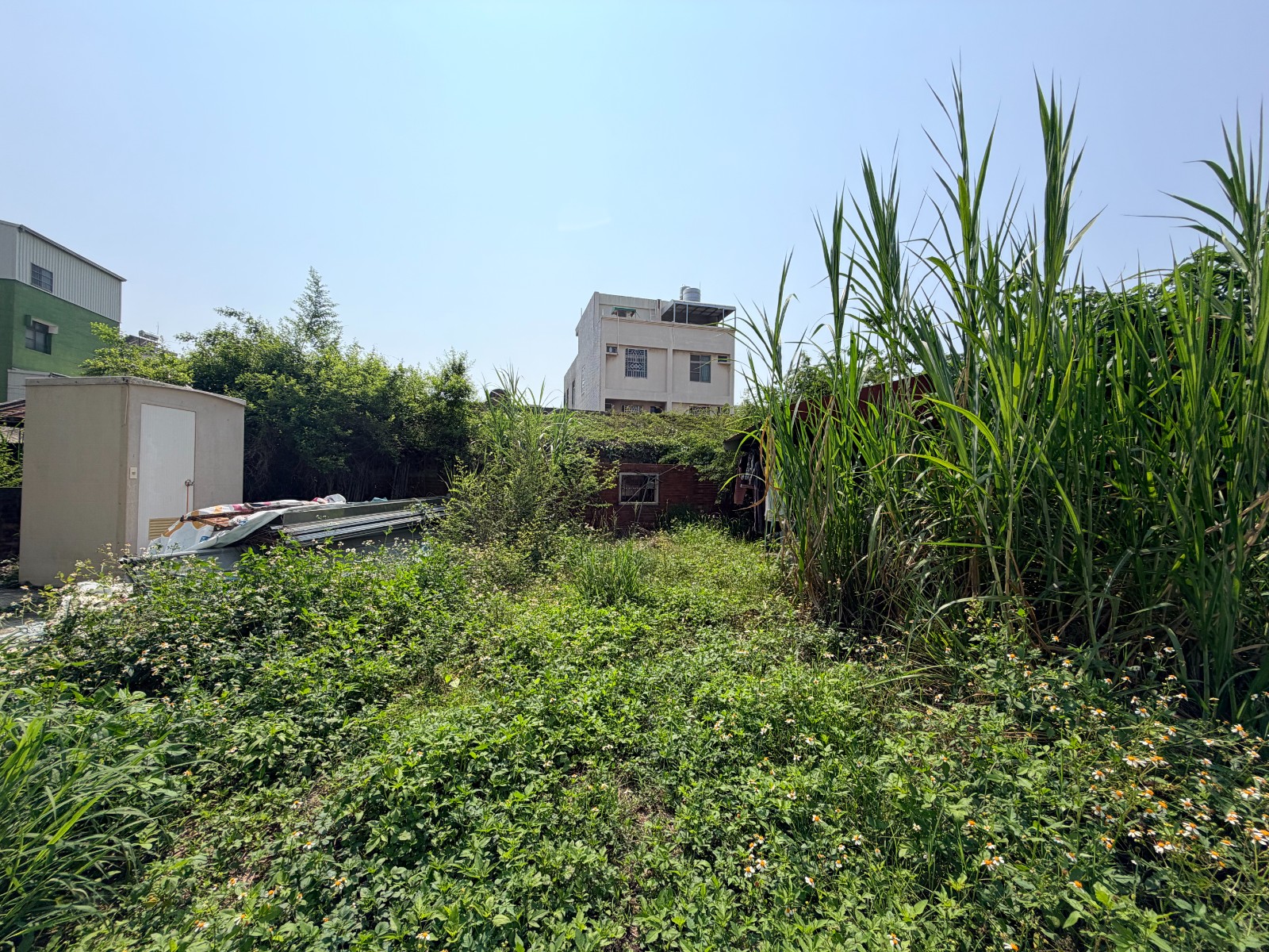 麻豆交流道旁自地自建鬧中取靜方正建地