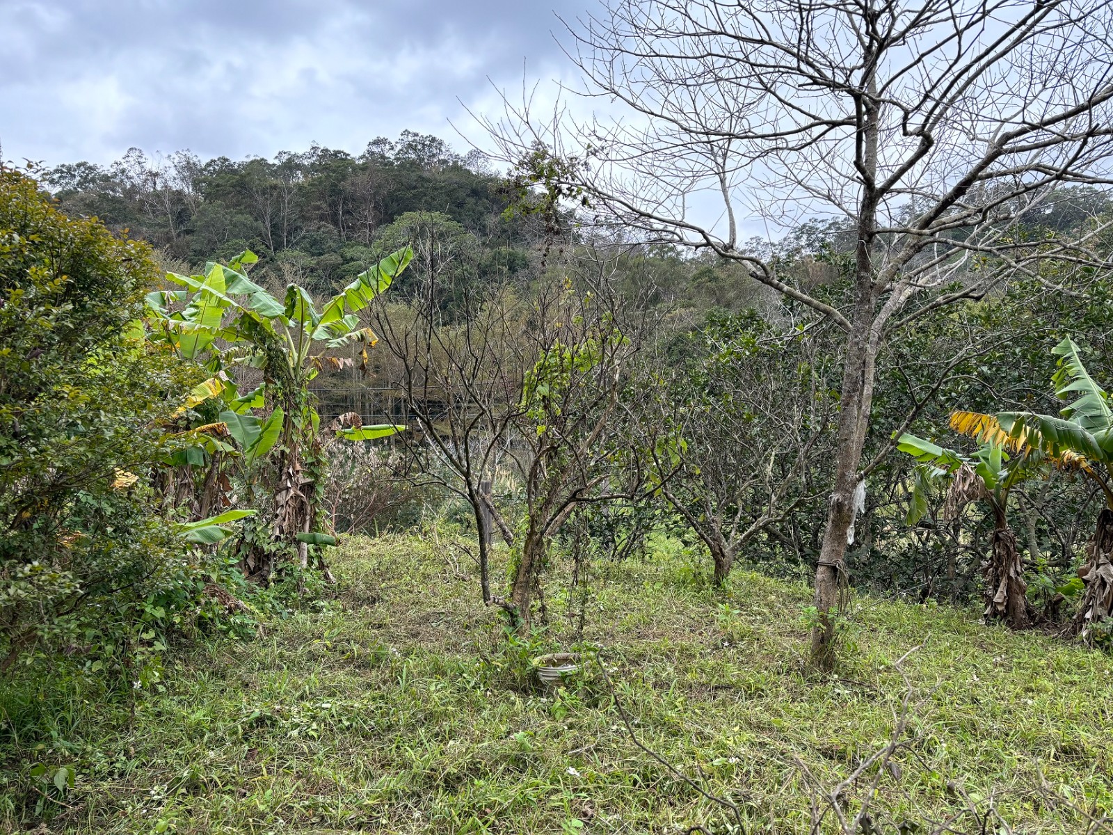 上橫坑超值平坦小農地