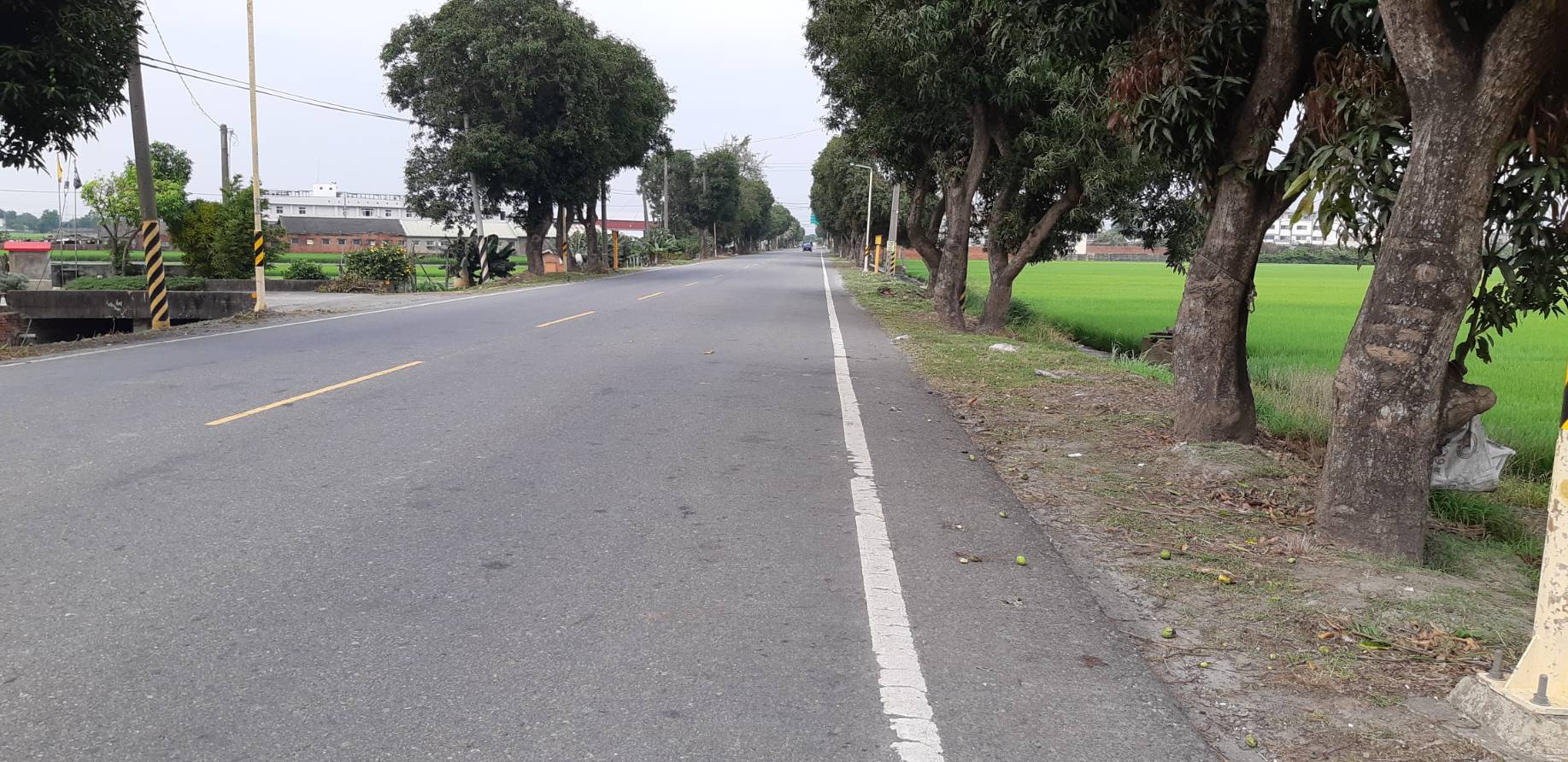 近交流道農地