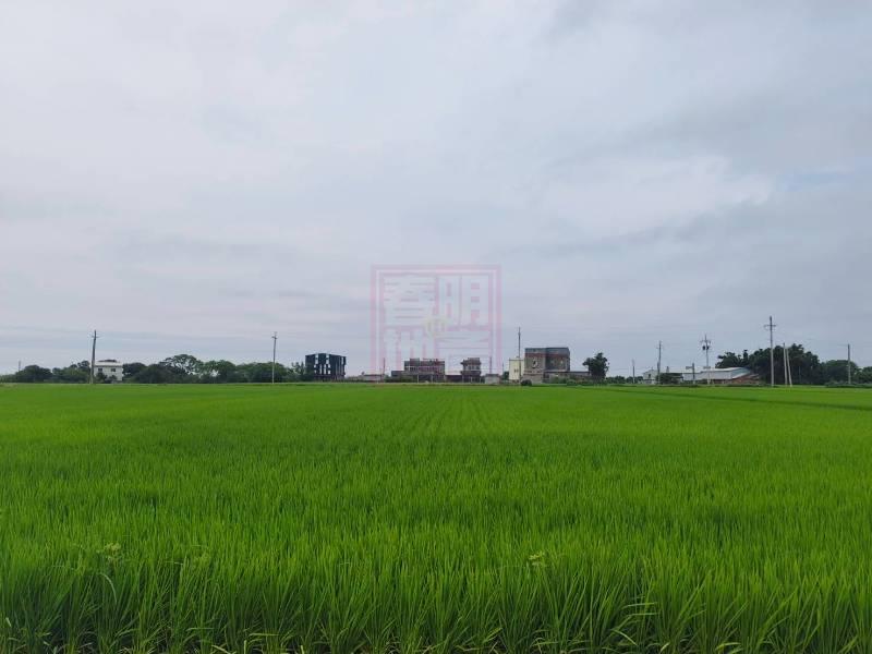 新竹縣新豐鄉後湖子美農地 春明地產