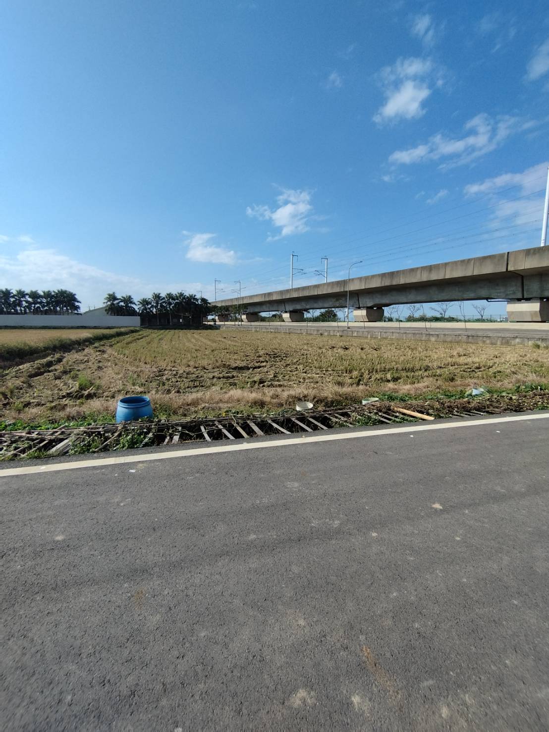 (專)正楊梅台31雙面臨路田