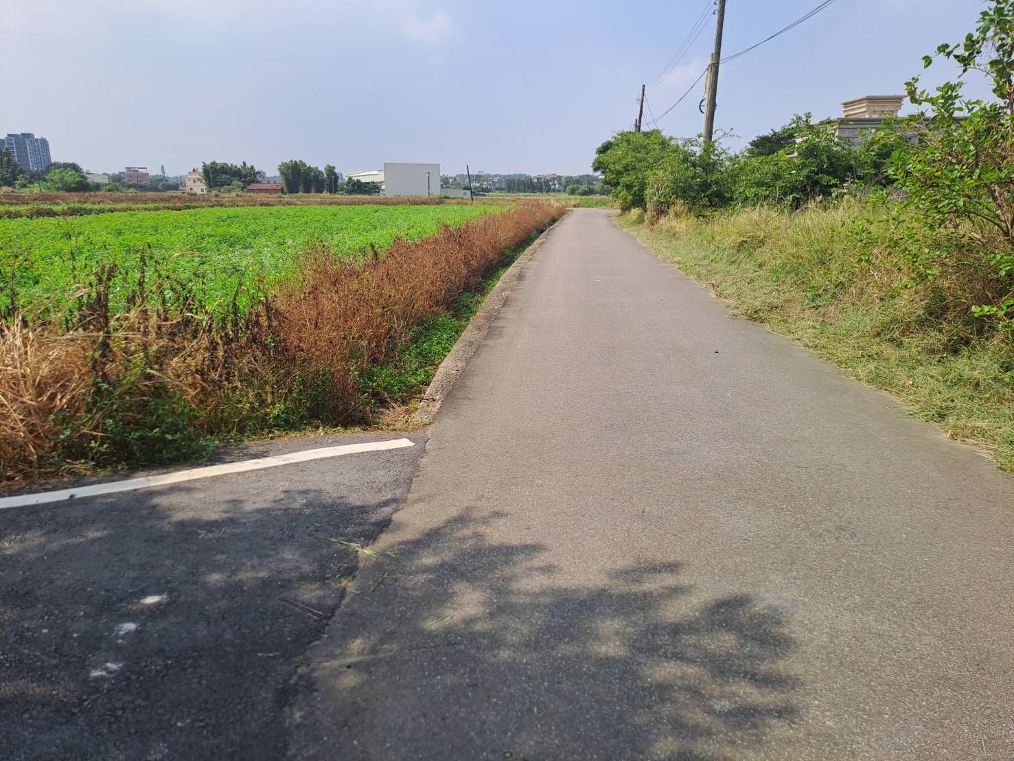 大園近月眉山東農地