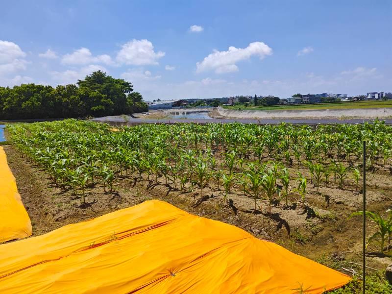 新竹縣新豐鄉崁頭村迷你農地(有分管) 春明地產