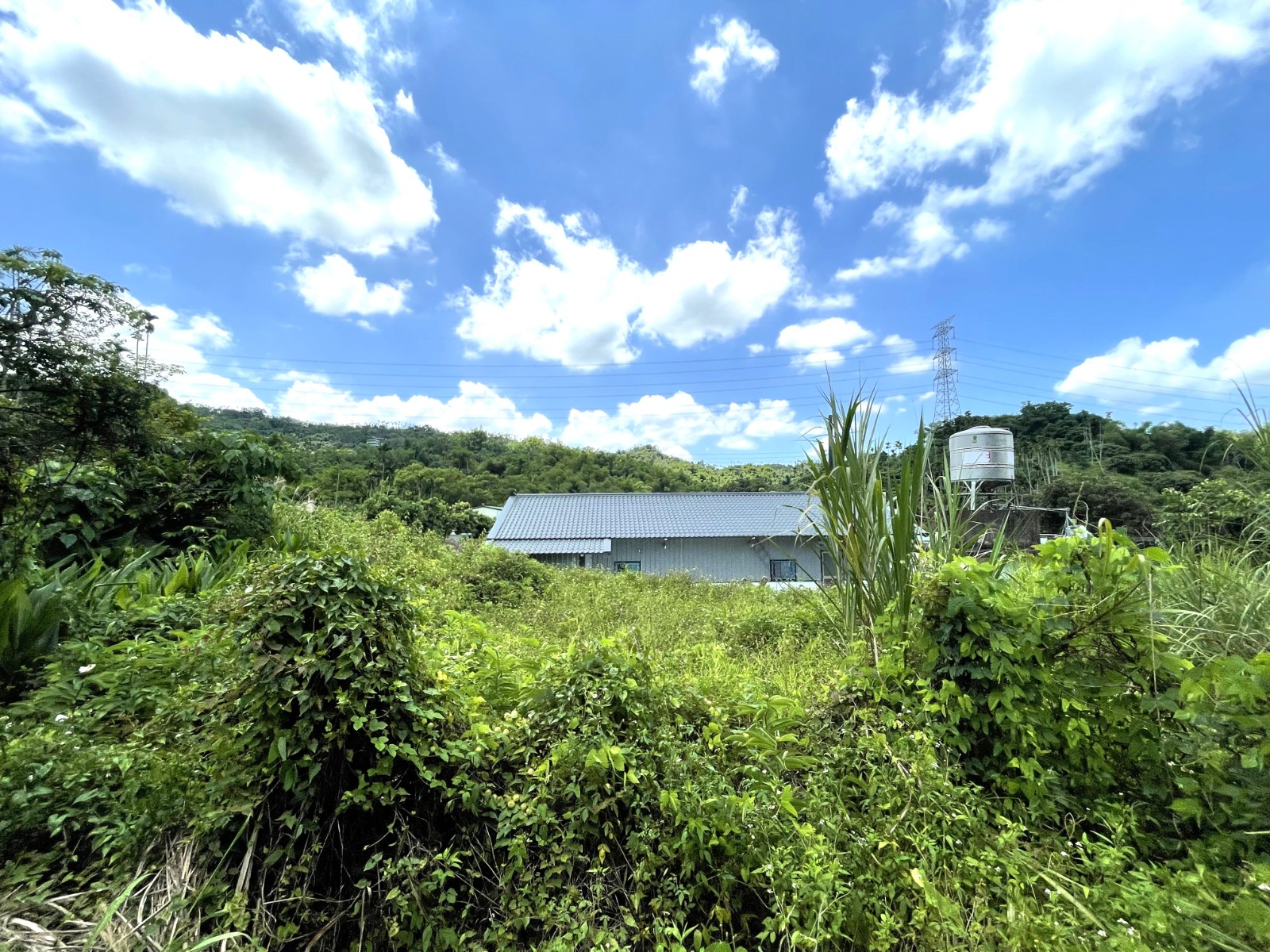 梅山坑口景觀農地(附平房)
