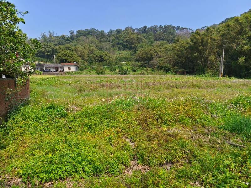 新竹縣峨眉鄉台三線正路邊平坦農地 春明地產