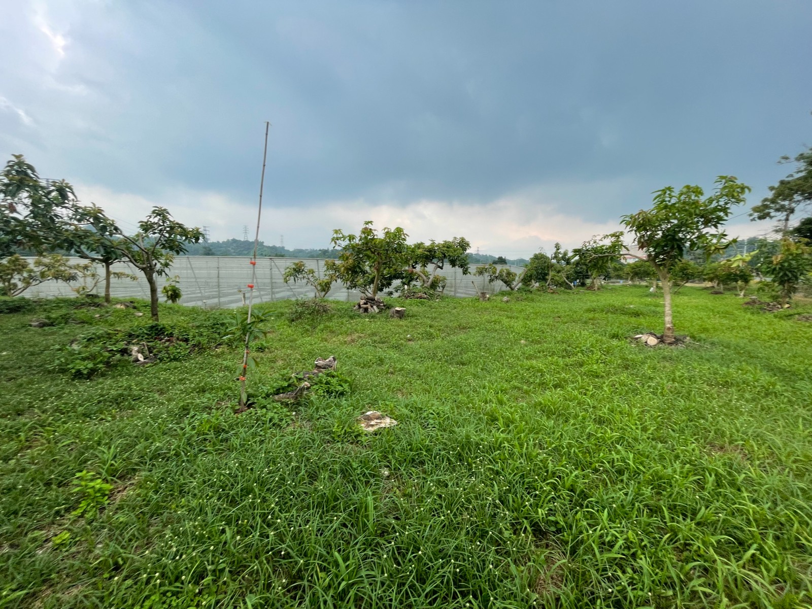 竹崎-義仁國小旁農建地附平房