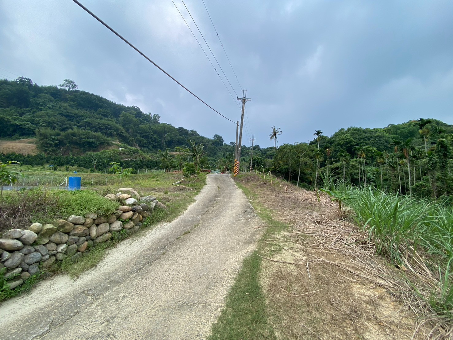 中寮挑米坑農地2分1