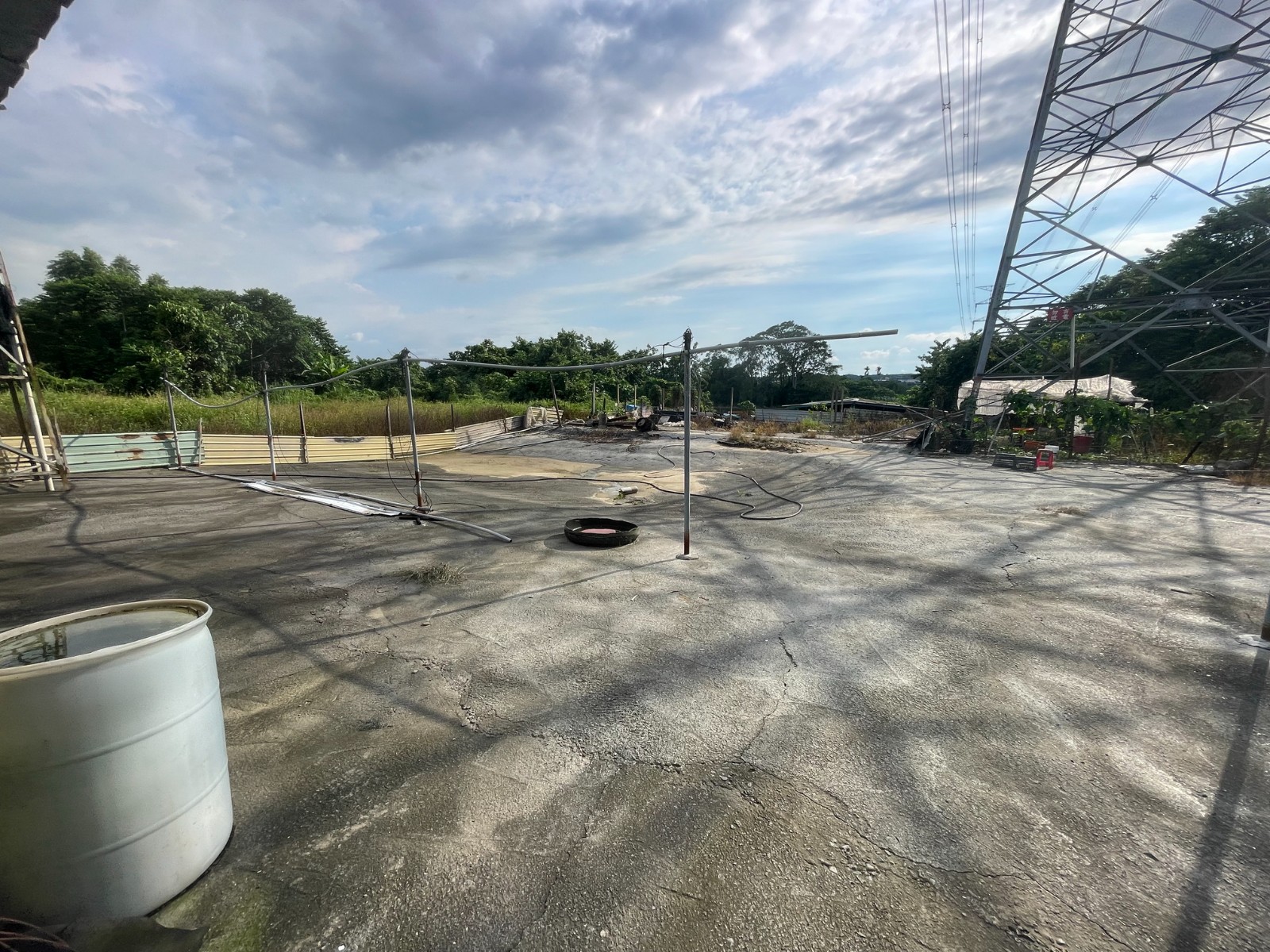 名間萬丹蛋鴨畜牧場3分6