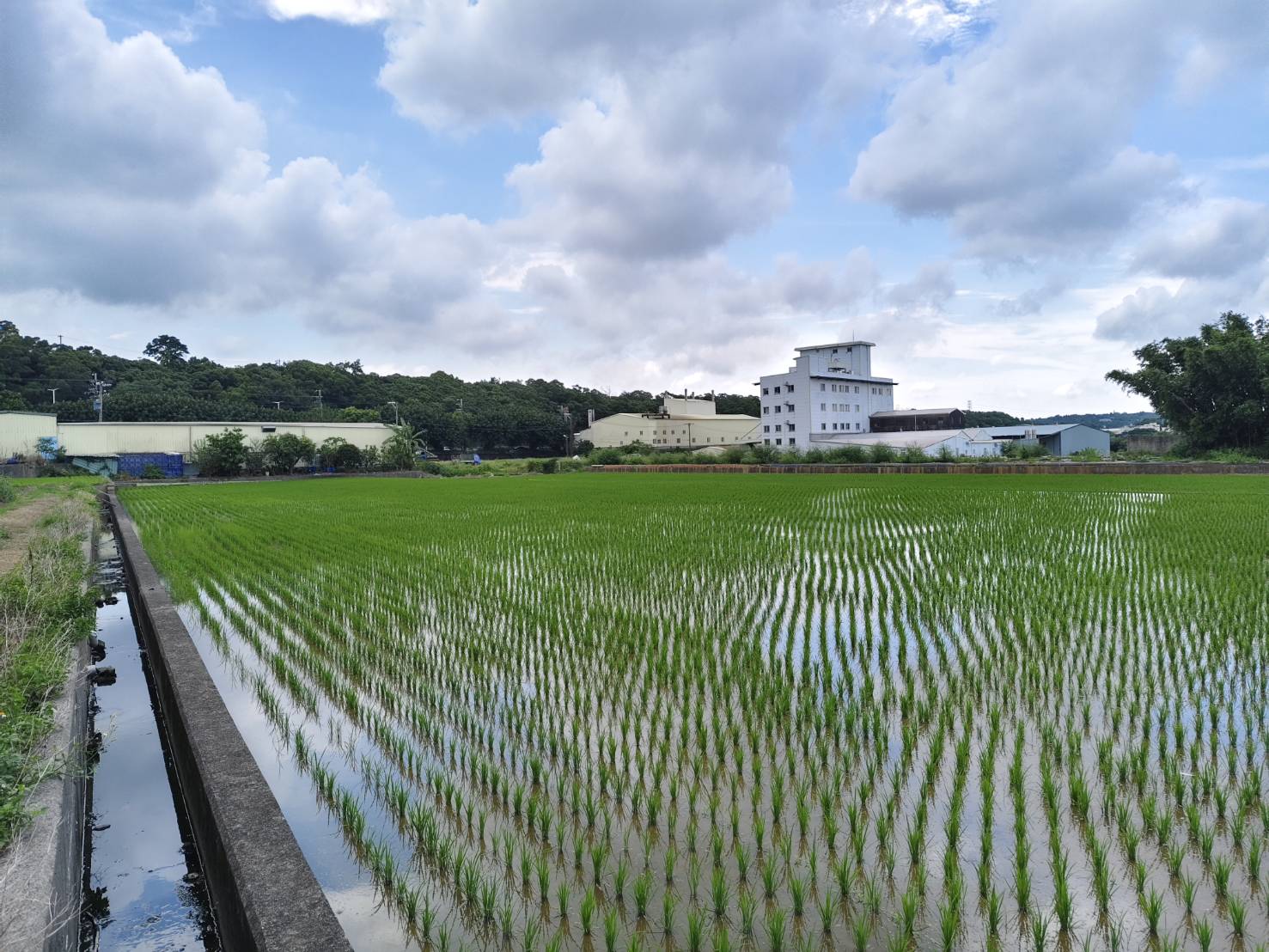 新竹縣湖口鄉台一線省道1分鐘農地 春明地產