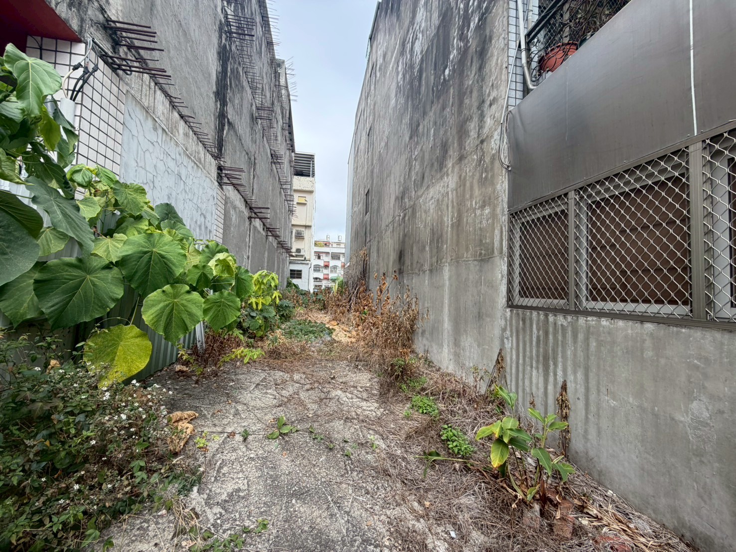 南投市忠孝街建地