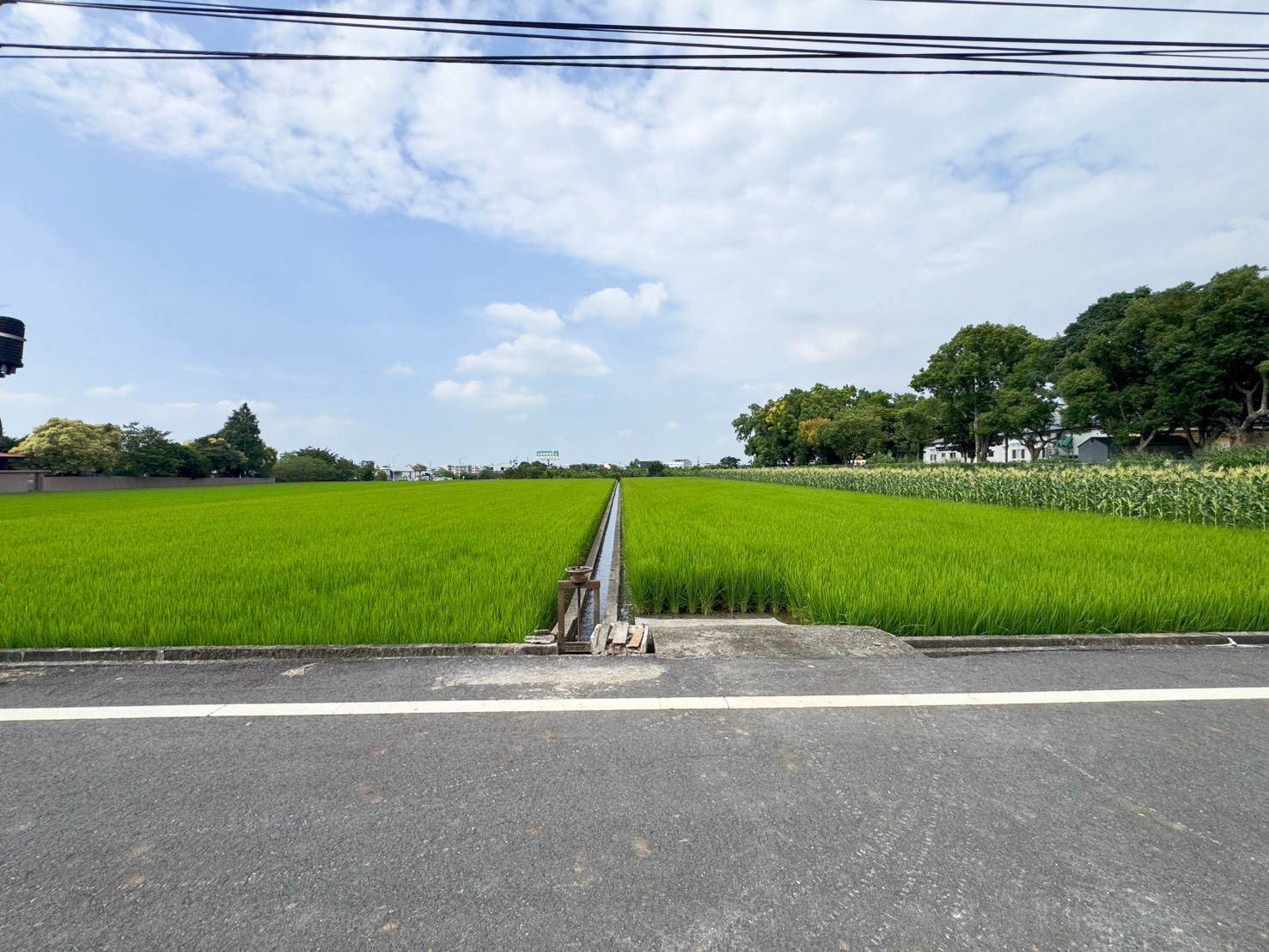 草屯北投雙面路田地