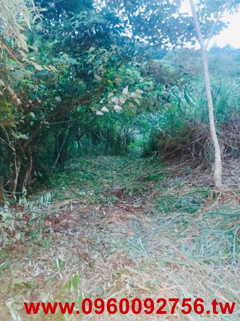 【尖石原保地｜1388坪山坡農牧地】
