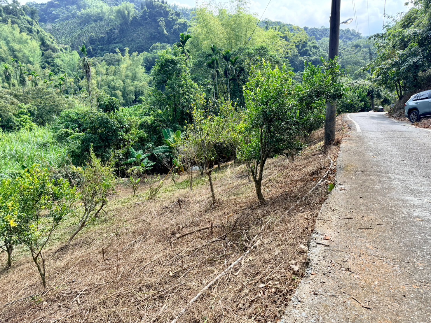 北中寮龍安休閒果園2.5分
