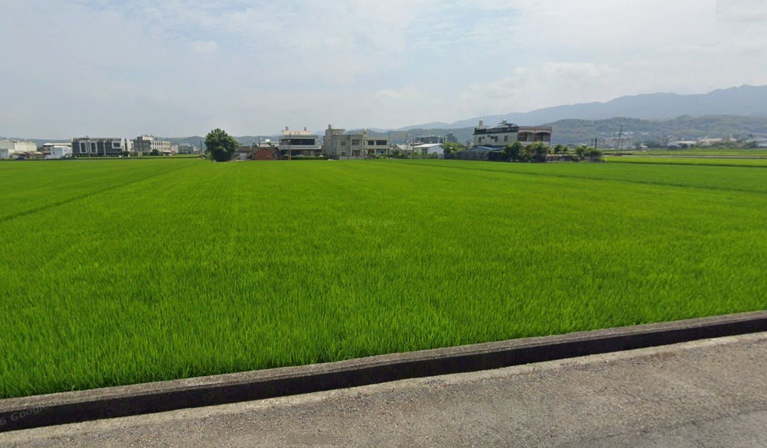 藍田國小美農地